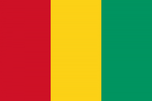 Guineapng — Flags of All Countries (Recognised or not) option 74