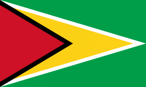 Guyanapng — Flags of All Countries (Recognised or not) option 75
