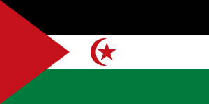 Sahrawi Arab Democratic Republicpng — Flags of All Countries (Recognised or not) option 151