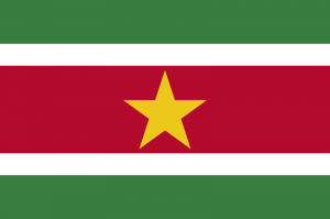 Surinamepng — Flags of All Countries (Recognised or not) option 177