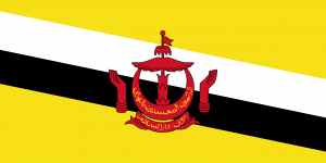 Bnpng — Flags of the World (196) option 21