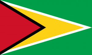 Gypng — Flags of the World (196) option 72