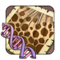 16719png — flight rising genes option 14