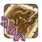 18586png — flight rising genes option 19