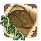 24312png — flight rising genes option 36