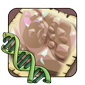 6603png — flight rising genes option 80