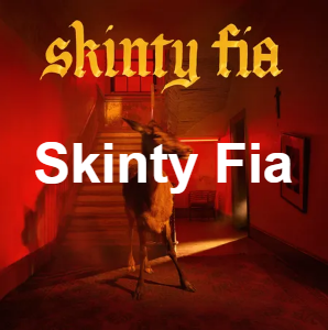 Skintypng — Fontaines D.C. Songs option 29