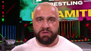 Image 18png — Former WWE Stars Debut on AEW option 18