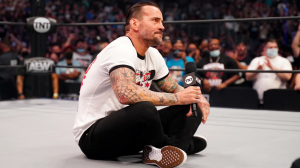 Image 28png — Former WWE Stars Debut on AEW option 28