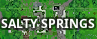 Salty Springspng — Fortnite POIs option 17