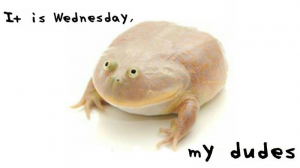 Wednesdaymydudeswidejpg — Frog Tier List option 34