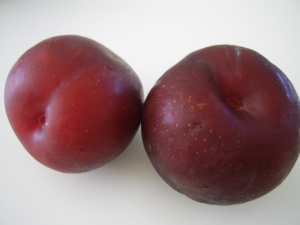Plumsjpg — fruit but it has a lot of fruits option 34