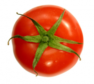 Tomatopng — fruit but it has a lot of fruits option 41