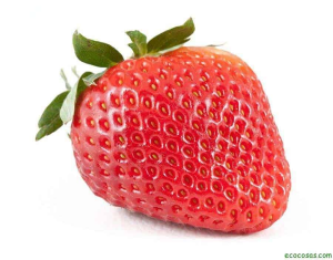 Zz1567452207imgcualessonlosbeneficiosdelasfresas7561origjpg — Fruit tier list option 30