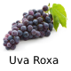Captura De Tela 37 1png — Frutas, Frutas Secas e Frutos Brasileiros option 1