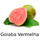 Zz1657462204captura De Tela 37 2png — Frutas, Frutas Secas e Frutos Brasileiros option 3
