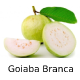 Zz1657462688captura De Tela 37 4png — Frutas, Frutas Secas e Frutos Brasileiros option 4