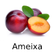 Zz1657463735captura De Tela 37 7png — Frutas, Frutas Secas e Frutos Brasileiros option 7