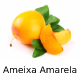 Zz1657463735captura De Tela 37 8png — Frutas, Frutas Secas e Frutos Brasileiros option 8