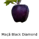 Zz1657464878captura De Tela 37 13png — Frutas, Frutas Secas e Frutos Brasileiros option 13