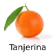 Zz1657465940captura De Tela 37 19png — Frutas, Frutas Secas e Frutos Brasileiros option 19