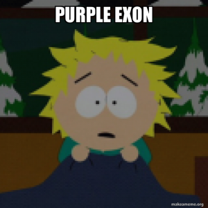 Purple Exonpng — FTA MEMBERS DEFINITIVE LIST option 113