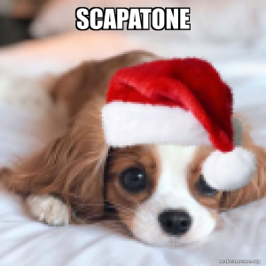 Scapatonepng — FTA MEMBERS DEFINITIVE LIST option 117