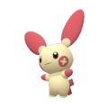 311png — Fully Evolved Gen 3 Pokemon (Modern Models X&Y+)+Clampearl option 26