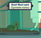 Desertmuckleechpng — Futurama Characters (outdated) option 107