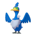 Cramorantpng — Galar Pokèmon option 22