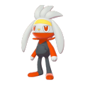 Raboootpng — Galar Pokèmon option 67