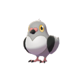 Zz1603737828pidovepng — Galar Pokèmon option 141