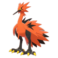 Zz1603737829zapdospng — Galar Pokèmon option 205