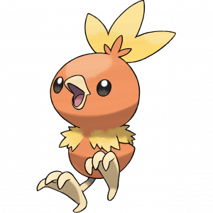 255torchicpng — Gen 3 Pokemon You Could Beat In A Fight option 4