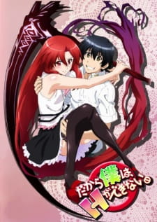 Dakara Boku Wa H Ga Dekinaijpg — Harem Anime option 12