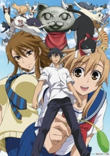 Nyan Koijpg — Harem Anime option 53