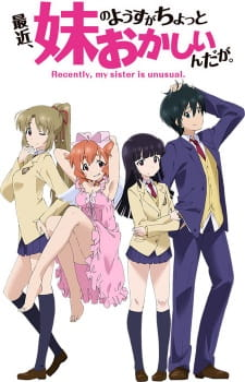 Saikin Imouto No Yousu Ga Chotto Okashiinda Gajpg — Harem Anime option 67