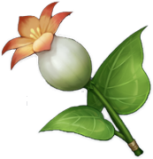 Itemcallalilypng — Genshin Impact Flowers option 1