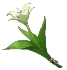 Zz1609904656itemceciliapng — Genshin Impact Flowers option 14