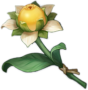 Zz1609904656itemsweetflowerpng — Genshin Impact Flowers option 23