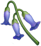 Zz1609904656itemvioletgrasspng — Genshin Impact Flowers option 24