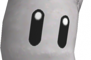 68png — Global Smash Roster (Top 500) option 65
