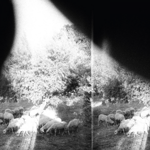 Asunderjpg — God Speed You! Black Emperor albums option 2