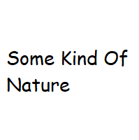 Naturepng — Gorillaz Plastic Beach option 7