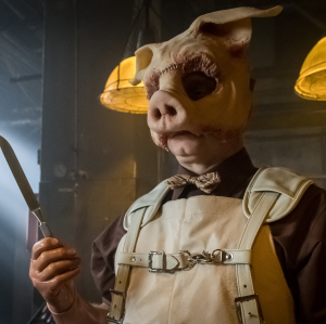 Pigjpg — Gotham Characters (major and minor) option 120