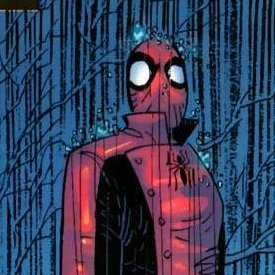 Evzx7f2qjpg — Grading different versions of Spider-Man option 21