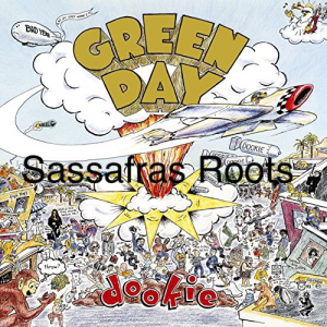 E3e22b45 F393 49b2 B2d2 5b3977388e31jpeg — Green Day Dookie option 14