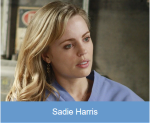 Sadieharrispng — Grey's Anatomy Doctors option 46