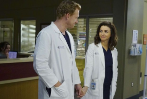 Greys Anatomy Season 12jpg — greys anatomy top couples option 13