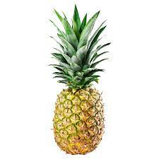 Download 47jpg — Grocery Store Items option 41